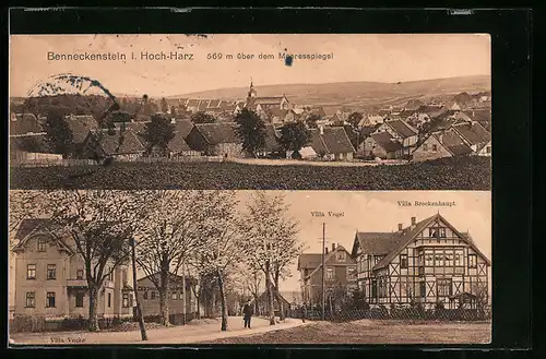 AK Benneckenstein i. Hoch-Harz, Villa Vocke mit Villa Vogel und Villa Brockenhaupt, Teilansicht