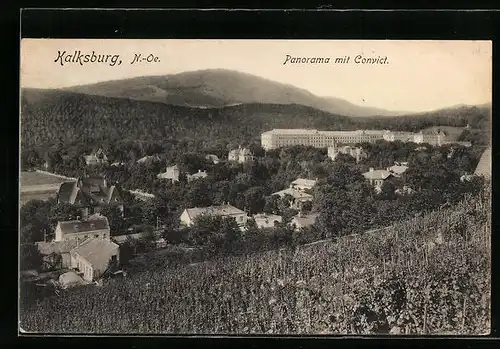 AK Wien, Kalksburg, Panorama mit Convict