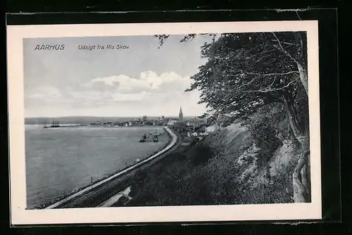 AK Aarhus, Udsigt fra Ris Skov