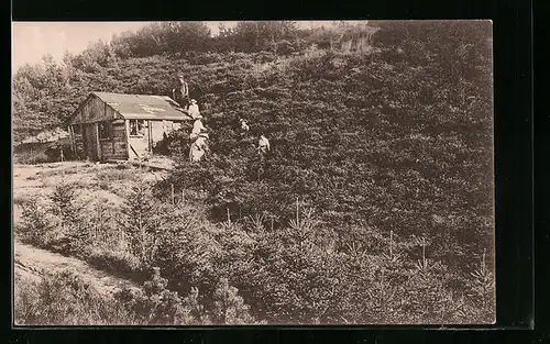 AK Jexendalen, Ortspartie mit Holzhaus