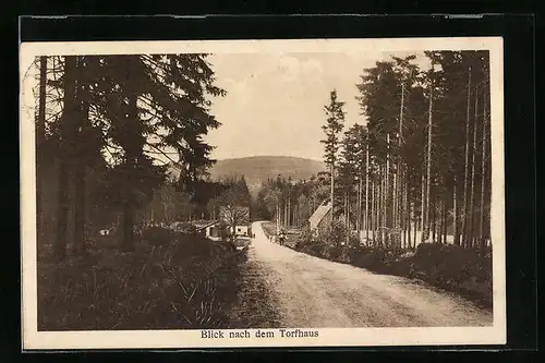 AK Torfhaus, Strassenpartie zum Ort