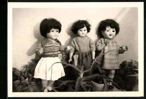 Fotografie Spielzeug, Puppen zwischen Zimmerpflanzen stehend