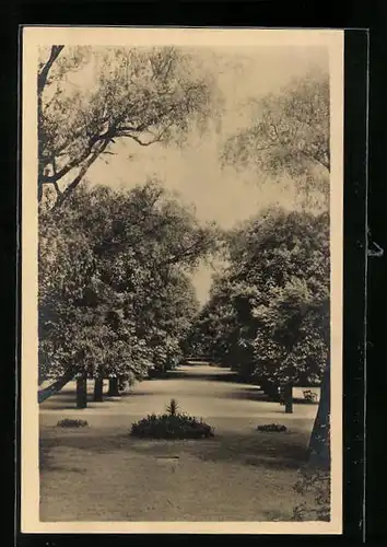 AK Wien, K.K. Theresianische Akademie, Parkpartie