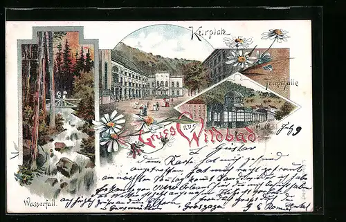 Lithographie Wildbad, Trinkhalle, Wasserfall, Kurplatz