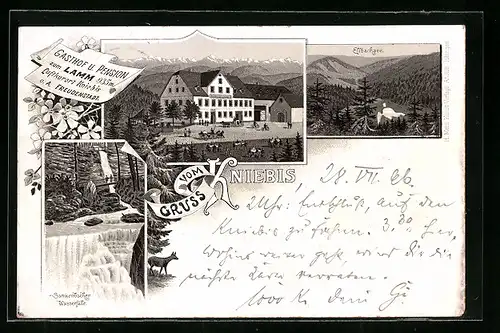 Lithographie Kniebis, Gasthof u. Pension zum Lamm, Sankenbacher Wasserfälle, Elbachsee