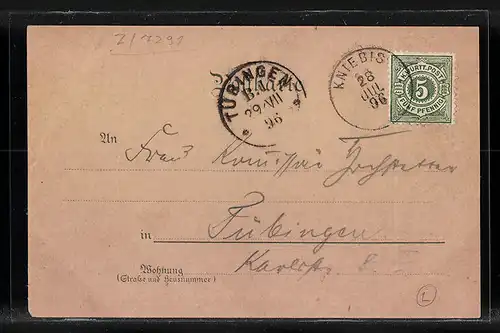 Lithographie Kniebis, Gasthof u. Pension zum Lamm, Sankenbacher Wasserfälle, Elbachsee