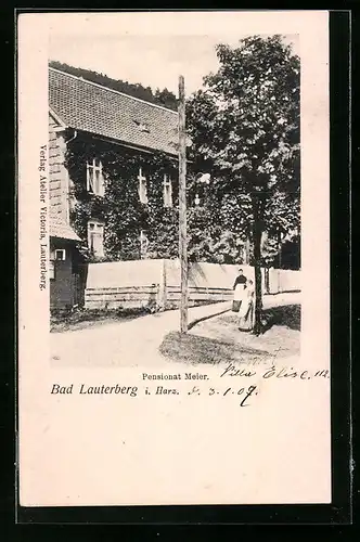 AK Bad Lauterberg i. Harz, Pensionat Meier