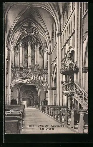 AK Fribourg, Cathedrale, Les Orgues, Orgel in der Kathedrale