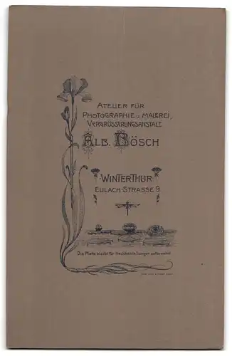 Fotografie Alb. Bösch, Winterthur, Eulach-Strasse 9, Älterer Herr im Anzug mit Schnauzbart