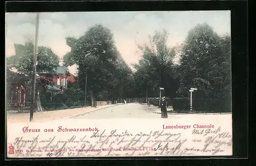 AK Schwarzenbek, Strassenpartie der Lauenburger Chaussée