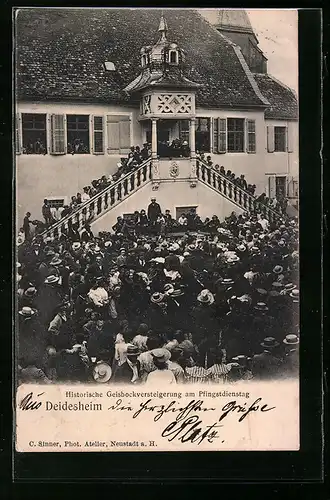 AK Deidesheim, Historische Geisbockversteigerung am Pfingstdienstag