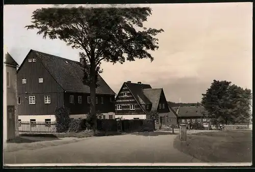 Fotografie Brück & Sohn Meissen, Ansicht Bärenfels i. Erzg., Strassenpartie im oberern Teil