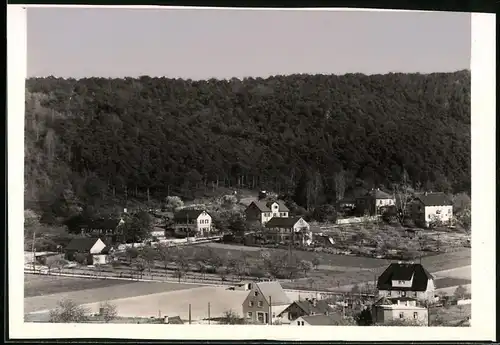 Fotografie Brück & Sohn Meissen, Ansicht Diesbar-Nieschütz a. d. Elbe, Blick auf den Ort mit Wohnhäusern