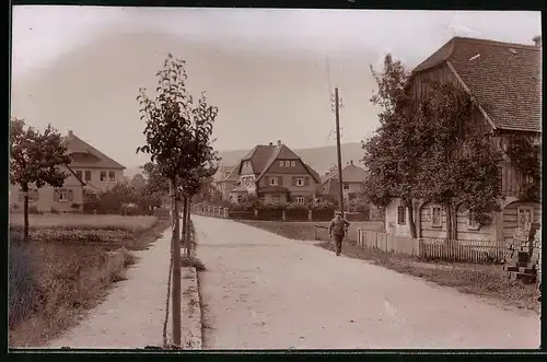 Fotografie Brück & Sohn Meissen, Ansicht Wilthen i. Sa., Strassenpartie im Ort mit Villenhäusern