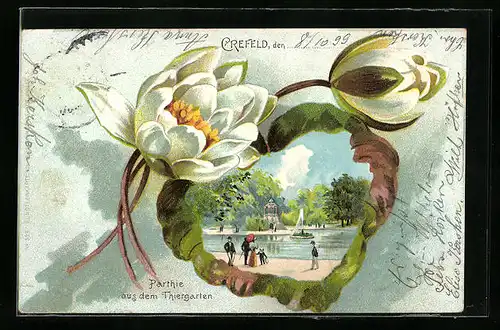 Passepartout-Lithographie Krefeld, Partie aus dem Tiergarten