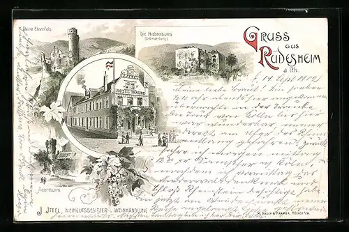 Lithographie Rüdesheim a. Rh., Hotel Traube, Die Niederburg Brömserburg, Ruine Ehrenfels