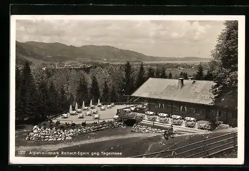 AK Rottach-Egern, Alpenwildpark und Gasthaus mit Blick gegen Tegernsee