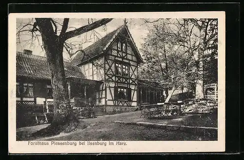 AK Ilsenburg im Harz, Forsthaus Plessenburg im Wald