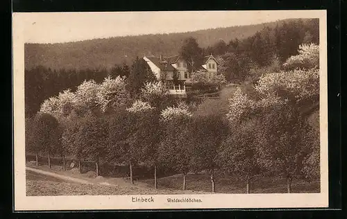 AK Einbeck, Gasthaus zwischen Bäumen