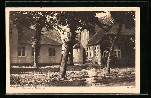 AK Nieblum /Föhr, Strasse in Nieblum mit Wohnhäusern