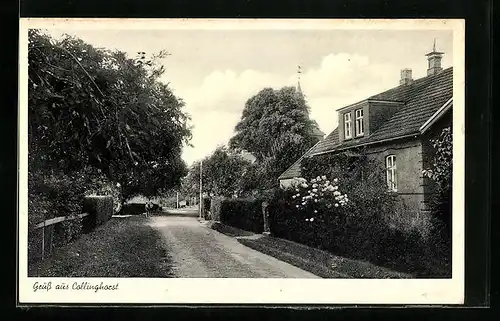 AK Collinghorst, Strassenpartie mit Gebäudeansicht