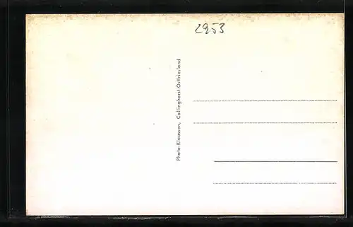 AK Collinghorst, Strassenpartie mit Gebäudeansicht