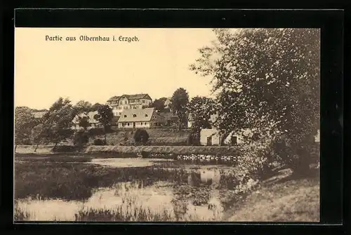 AK Olbernhau i. Erzgeb., Partie am See mit Blick auf den Ort