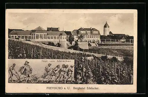 AK Freyburg a. U., Berghotel Edelacker hinter Weinbergen
