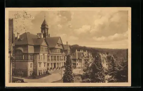 AK Falkenstein i. T., Partie vom Obertaunusheim