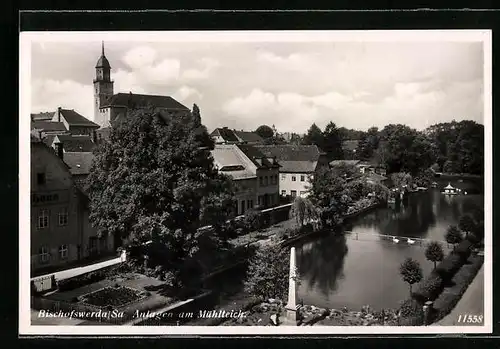 AK Bischofswerda i. Sa., Anlagen am Mühlteich aus der Vogelschau