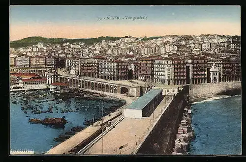 AK Alger, Vue générale