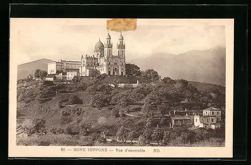 AK Bone Hippone, Vue d`ensemble