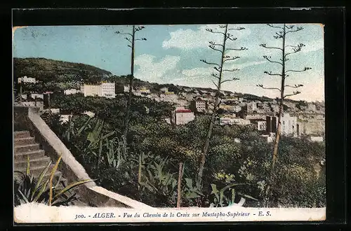 AK Alger, Vue du Chemin de la Croix sur Mustapha-Supérieur