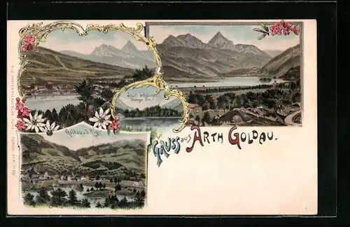 Lithographie Arth Goldau, Teilansicht u. d. Rigi, Insel Schwanau und Lowerzer See, Panorama