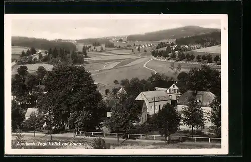 AK Auerbach i. V., Blick auf Brunn