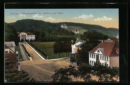 AK Bad Doberan, Amerikagehölz mit Stahlbad und Villen