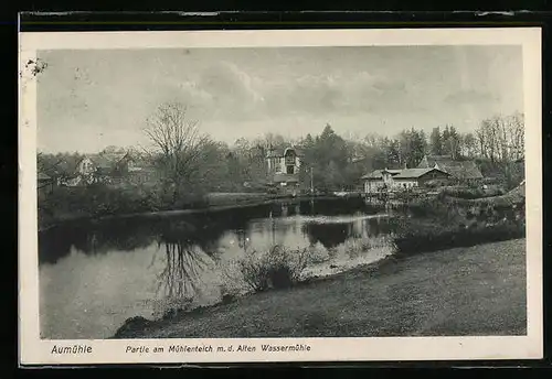 AK Aumühle, Mühlenteich mit Alter Wassermühle