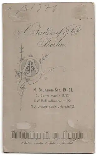 Fotografie A. Jandorf & Co., Berlin, Brunnenstrasse 19-21, Junge Dame mit Kragenbrosche und Halskette