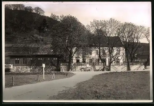 Fotografie Brück & Sohn Meissen, Ansicht Diesbar / Elbe, Blick auf das Gasthaus zum Ross, Auto