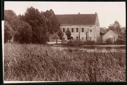 Fotografie Brück & Sohn Meissen, Ansicht Bucha i. Sa., Blick über den Teich zum Gasthof zur Mühle