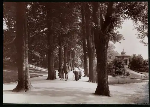 Fotografie Brück & Sohn Meissen, Ansicht Freiberg i. Sa., Partie im Albertpark, Mütter mit Kinderwagen