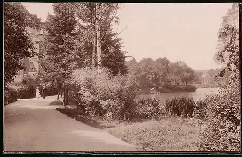 Fotografie Brück & Sohn Meissen, Ansicht Bad Elster, Partie im Park am Luisasee, Spiegelverkehrt