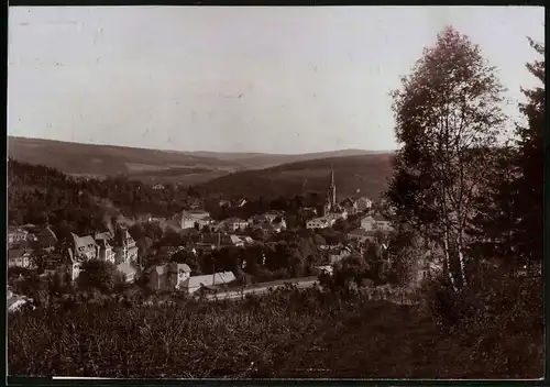 Fotografie Brück & Sohn Meissen, Ansicht Bad Elster, Blick vom Wald auf den Ort