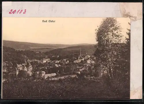 Fotografie Brück & Sohn Meissen, Ansicht Bad Elster, Blick vom Wald auf den Ort