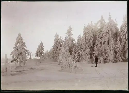 Fotografie Brück & Sohn Meissen, Ansicht Schellerhau i. Erzg., Skifahrer im verschneiten Ort