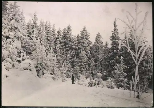 Fotografie Brück & Sohn Meissen, Ansicht Bärenfels i. Erzg., Wanderer im verschneiten Winterwald