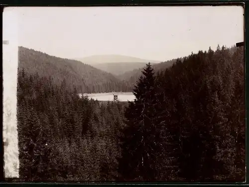 Fotografie Brück & Sohn Meissen, Ansicht Zellerfeld, Blick in das Spiegelthal mit Hochsitz