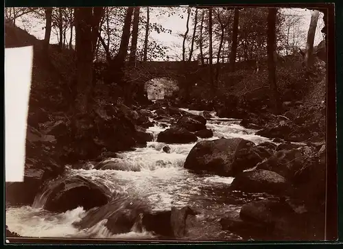 Fotografie Brück & Sohn Meissen, Ansicht Ilfeld, Partie im Bäretal mit Bachlauf