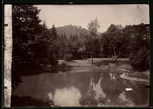 Fotografie Brück & Sohn Meissen, Ansicht Bad Lauterberg, Blick aus dem Kurpark auf den Hausberg