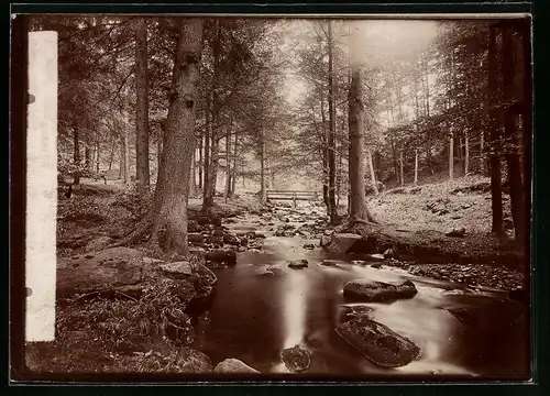 Fotografie Brück & Sohn Meissen, Ansicht Ilsenburg, Partie an der Ilse im Ilsetal